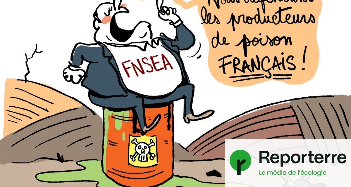 La grande hypocrisie de la FNSEA sur le libre-échange