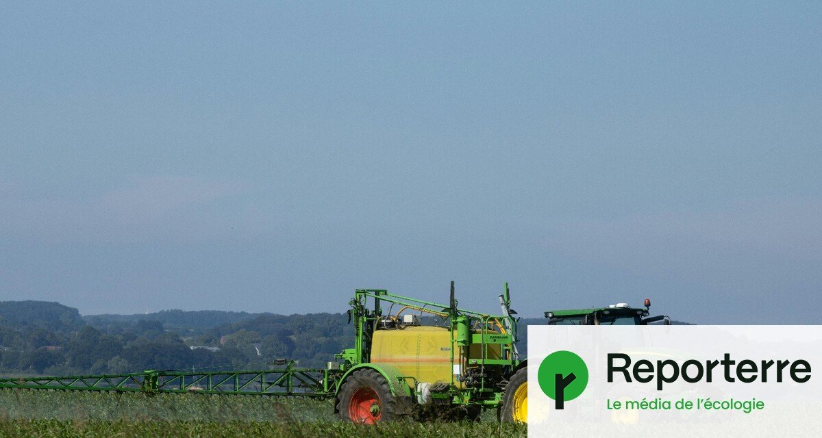 Pesticides : la carte des communes les plus exposées