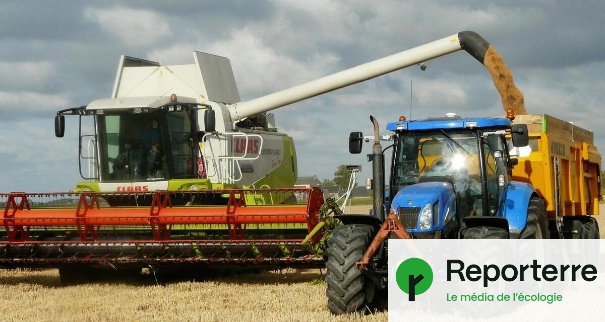 Rien pour la bio, rien pour les jeunes paysans : la loi d’orientation agricole est « un très mauvais signal »