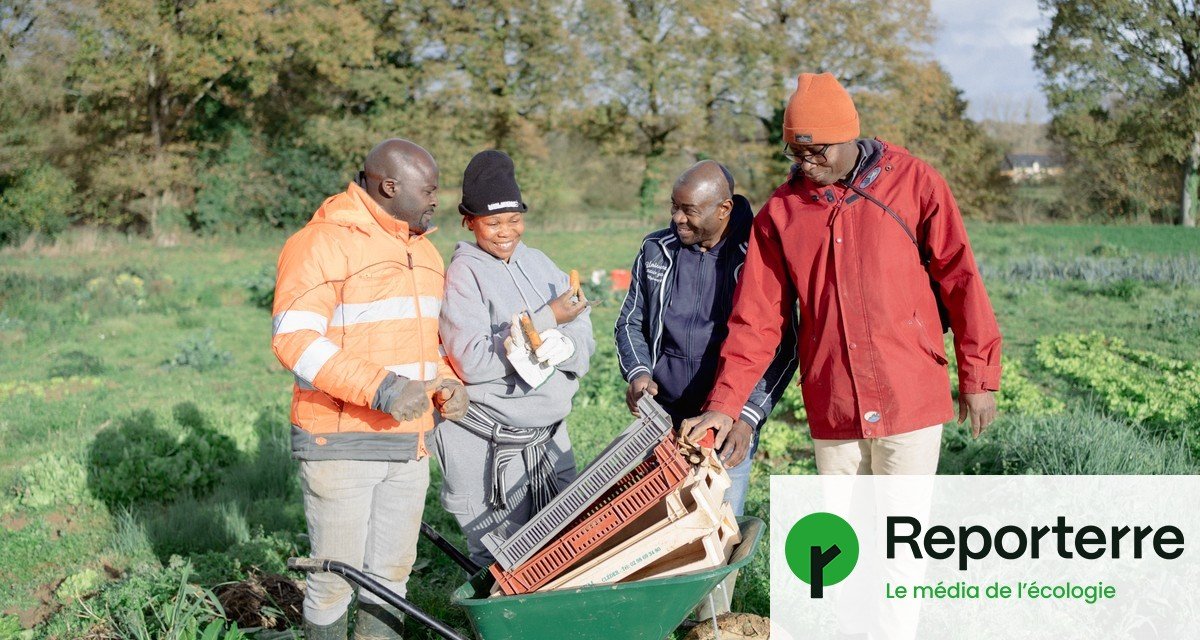 Des agriculteurs exilés se lancent dans le maraîchage près de Rennes