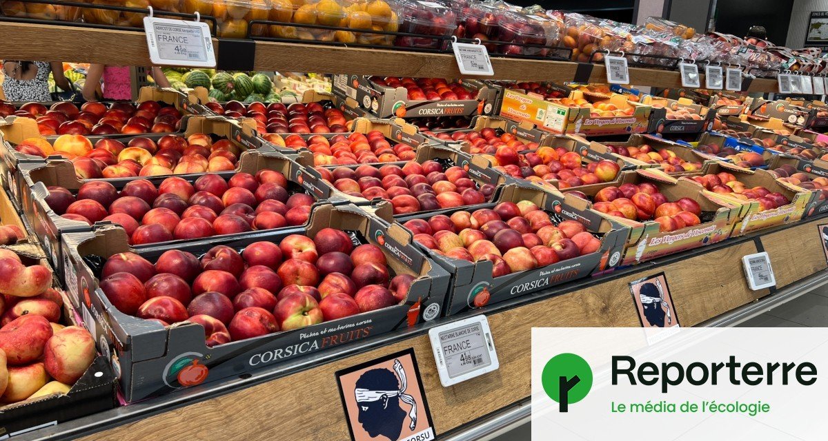 Trop chers et trop concurrencés, les fruits et légumes corses se font jeter