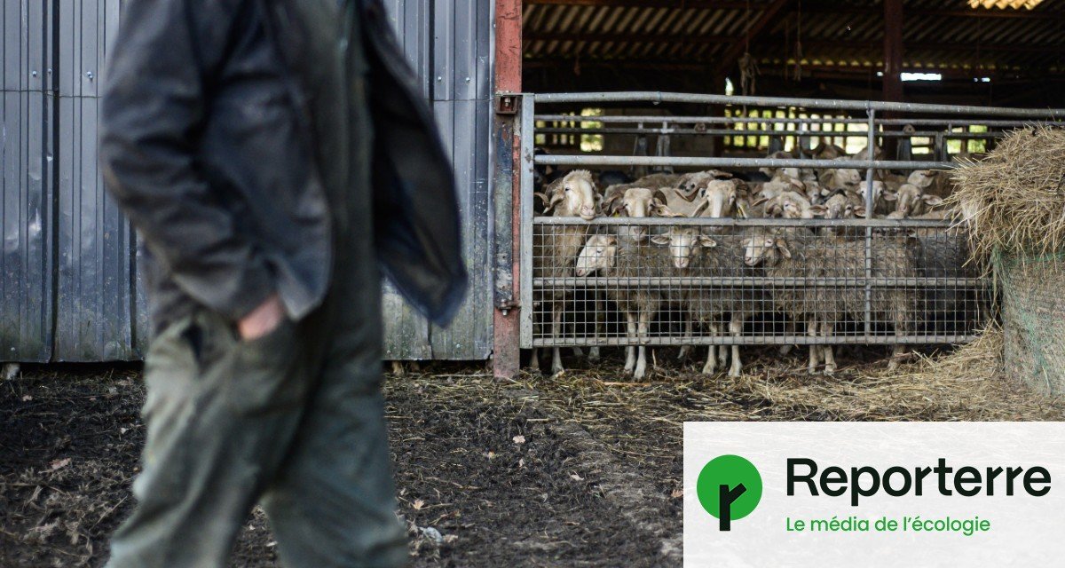 Suicide des agriculteurs : une loi examinée à l’heure où le mal-être augmente
