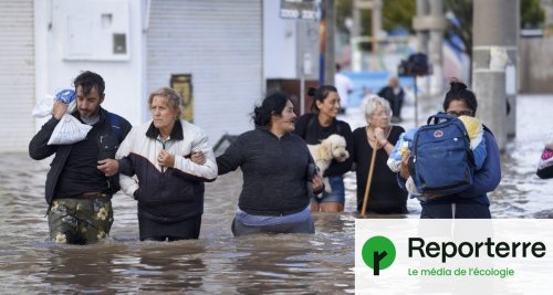 Argentine : le président climatosceptique délaisse les habitants face aux inondations