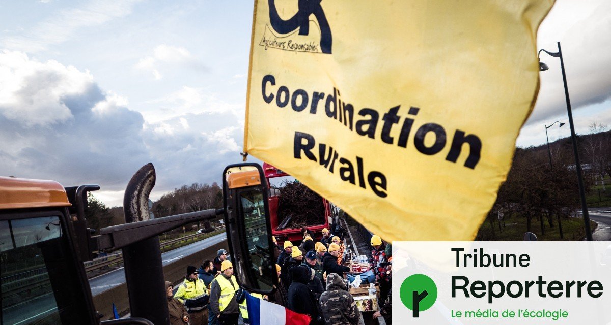 « Non, “faire la peau aux écolos” ne sauvera pas les agriculteurs »
