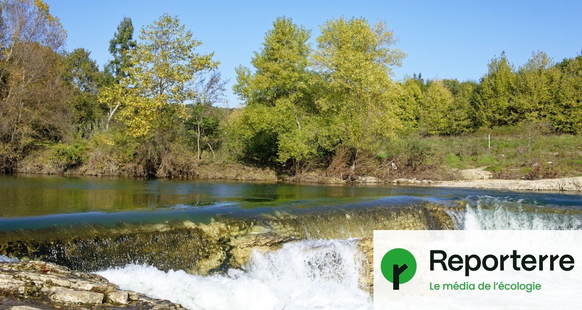 Les mégabassines séduisent les agriculteurs du Gard