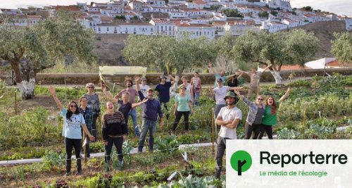 Au Portugal, ils font pousser des légumes dans l'une des communes les plus arides d’Europe