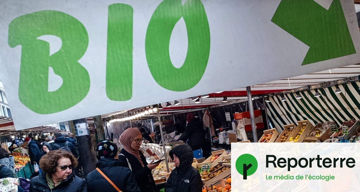 Le bio est-il condamné ? Un rapport dessine quatre futurs possibles pour la filière