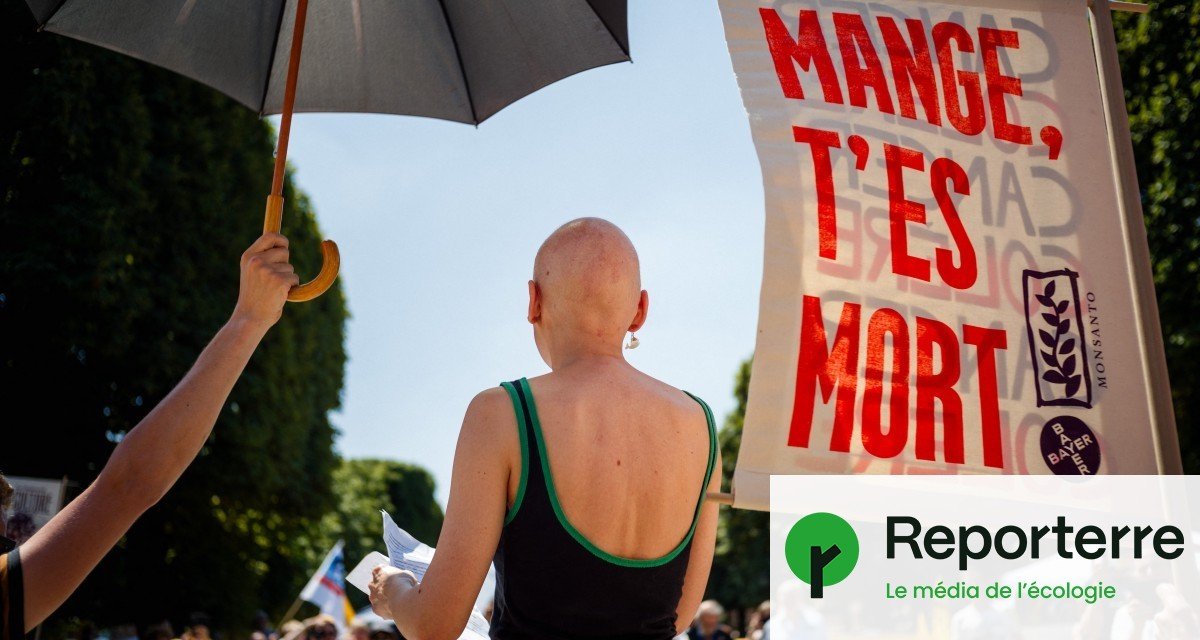 Derrière Fleur Breteau, l’émergence d’un mouvement qui politise le cancer