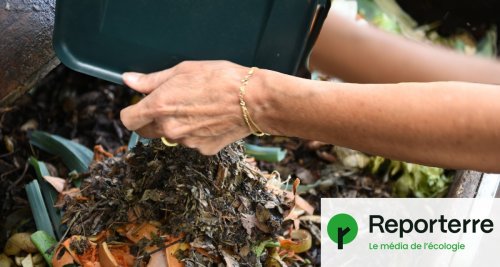 Le compost devient obligatoire... mais personne n'est prêt