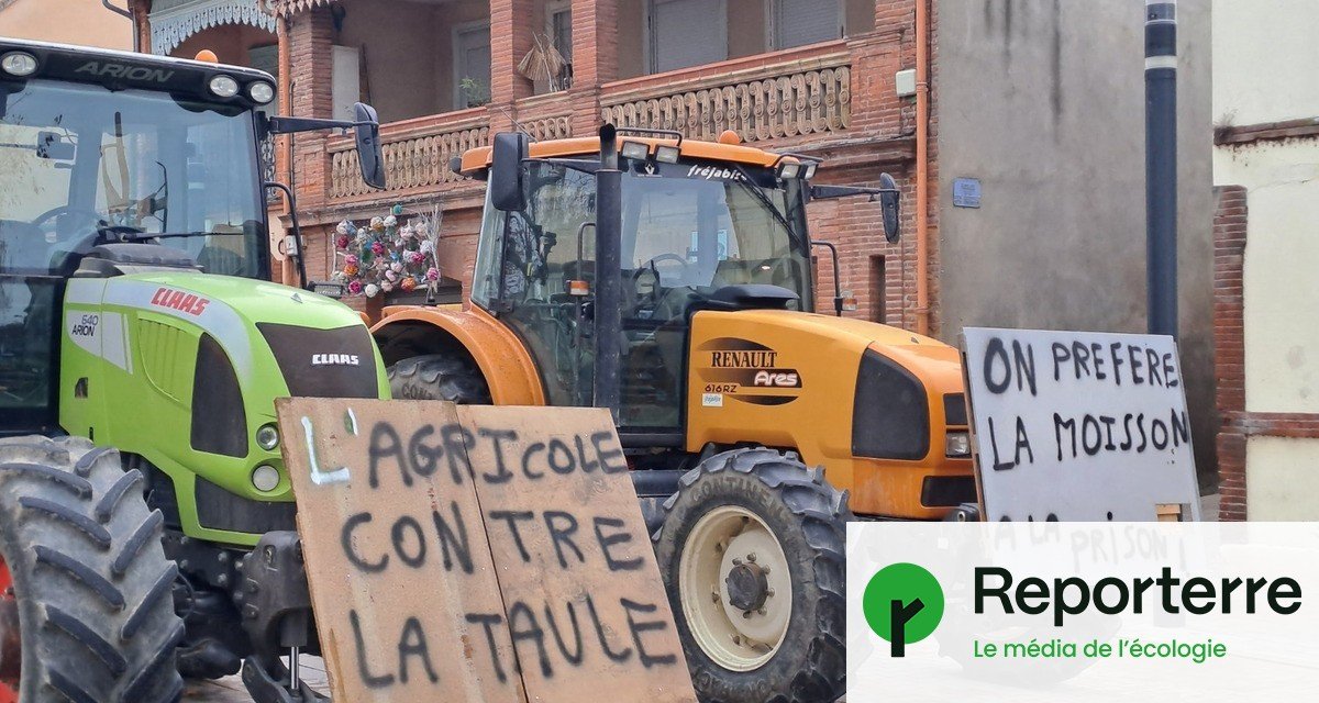 Près de Toulouse, une alliance inédite contre la construction d’une prison