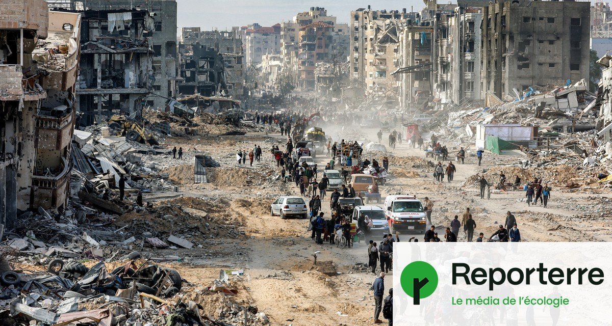 Gaza : au milieu de la catastrophe, faire revenir la vie