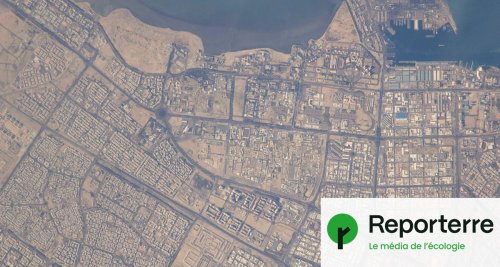 Près de 50 °C en avril au Moyen-Orient : « L'événement le plus extrême jamais observé »