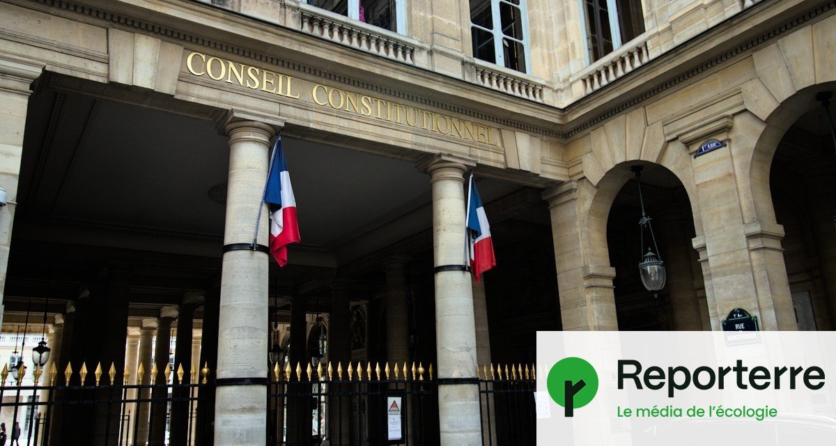 5 raisons de censurer la loi Duplomb