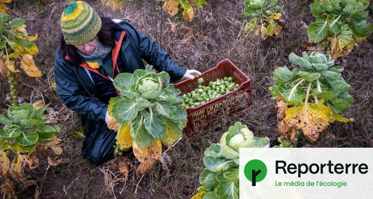 « Être paysan ? Quand une vie de contraintes devient joyeuse »