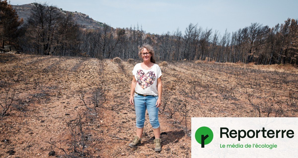 Après les flammes, la solidarité paysanne s’organise dans l’Aude