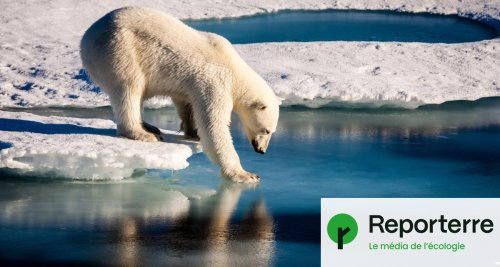 En Arctique, le premier jour sans glace pourrait avoir lieu dès 2027