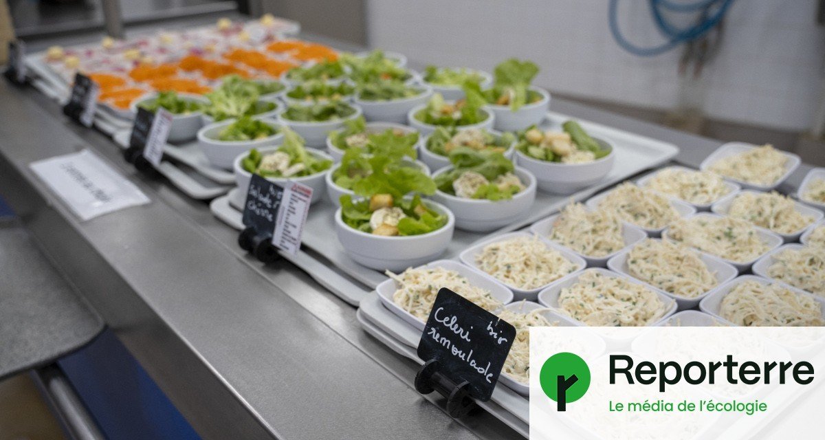 Quelles villes ont les cantines les plus bio de France ?