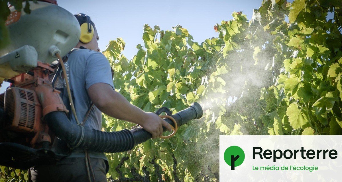 Pesticides : l’interminable fiasco des plans Écophyto