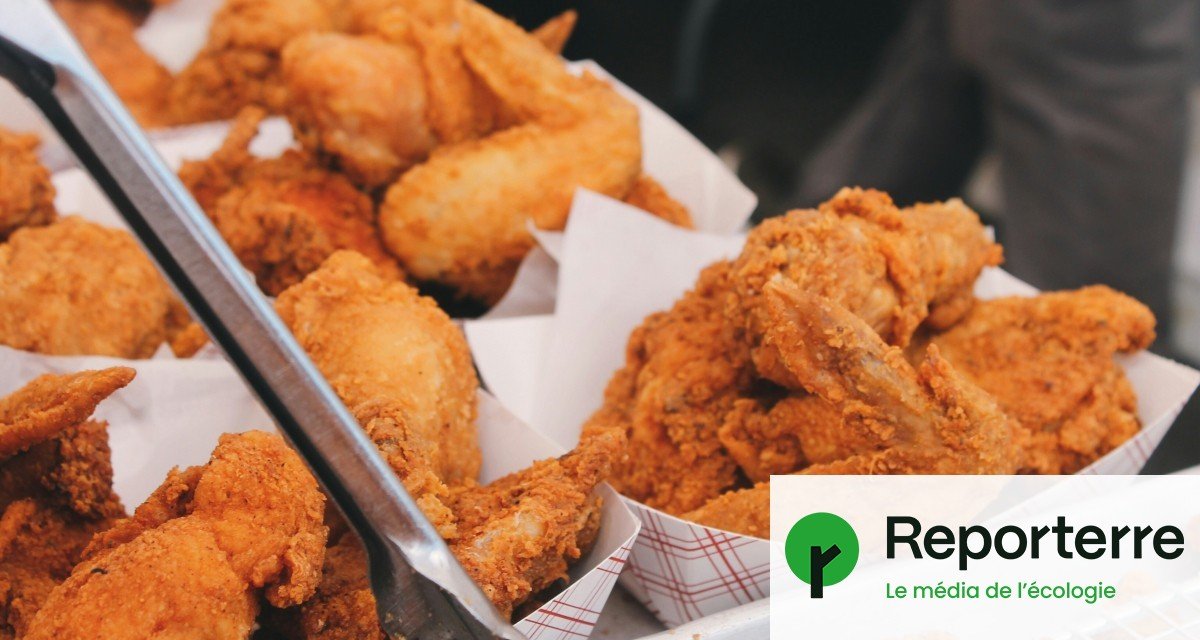 Le gouvernement bloque encore la parution de la stratégie nationale alimentaire