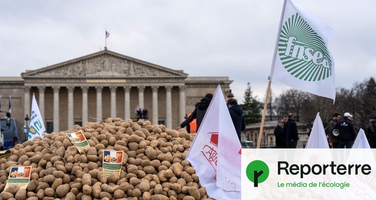 Crise agricole : « Le modèle productiviste n’en finit pas de faire mourir ses propres enfants »