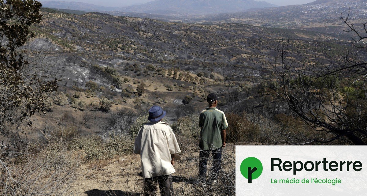 Incendies : les populations africaines en première ligne