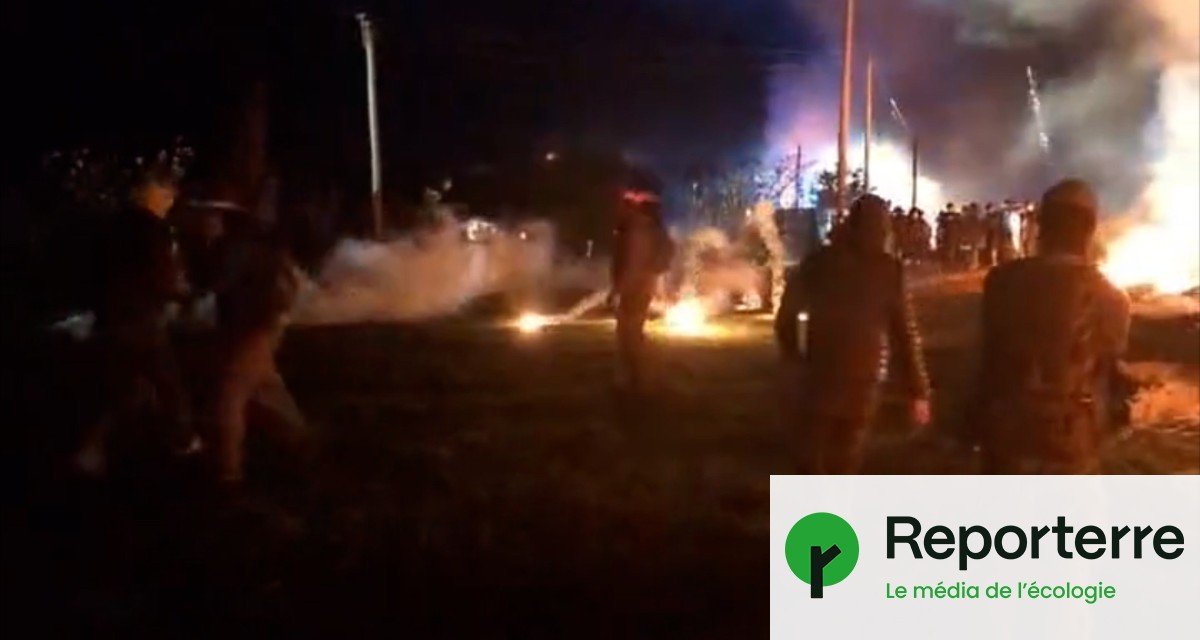 Dermatose bovine : des agriculteurs délogés par les gendarmes en Ariège