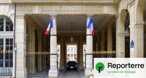 Le Conseil constitutionnel censure un tiers de la loi d'orientation agricole