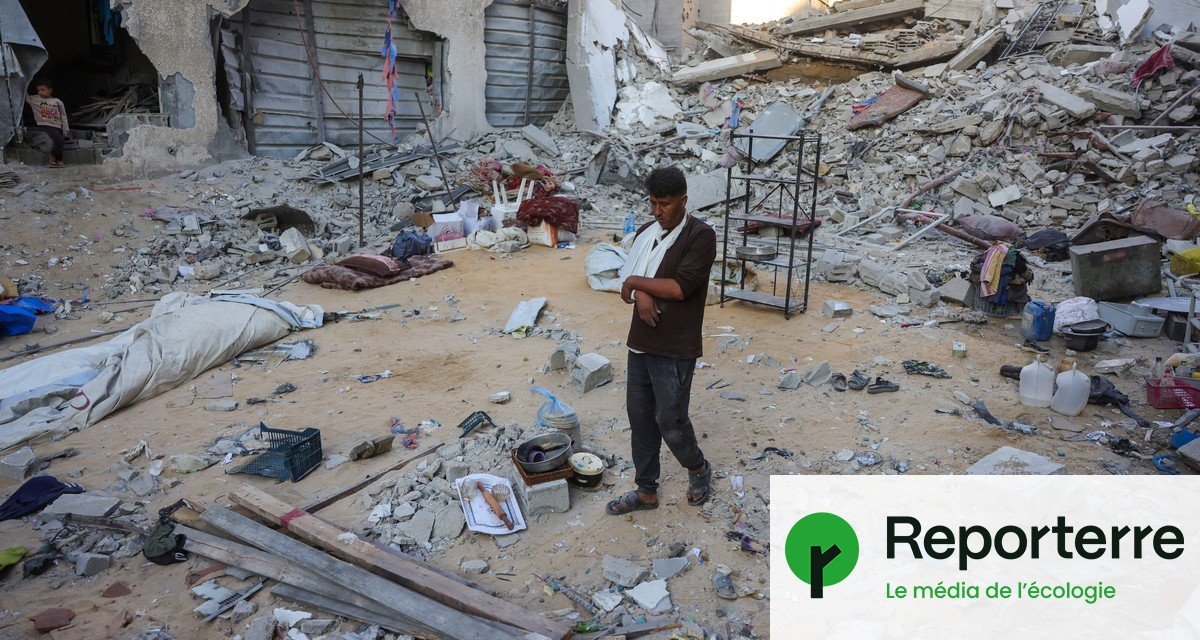 À Gaza, « le plan Trump finalise la destruction des aires agricoles »