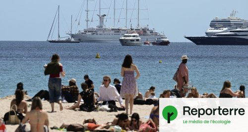 À Cannes, Jeff Bezos et Bernard Arnault jouent à qui a le plus gros yacht