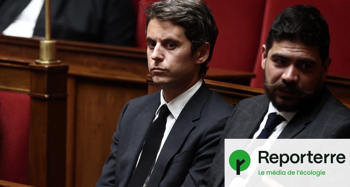 Loi Duplomb : le malaise de ces députés qui ont voté pour