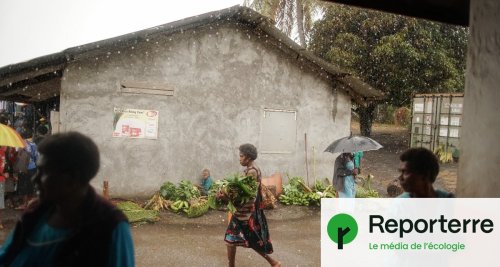 Du Vanuatu à la COP, comment l'aide aux pays vulnérables est née