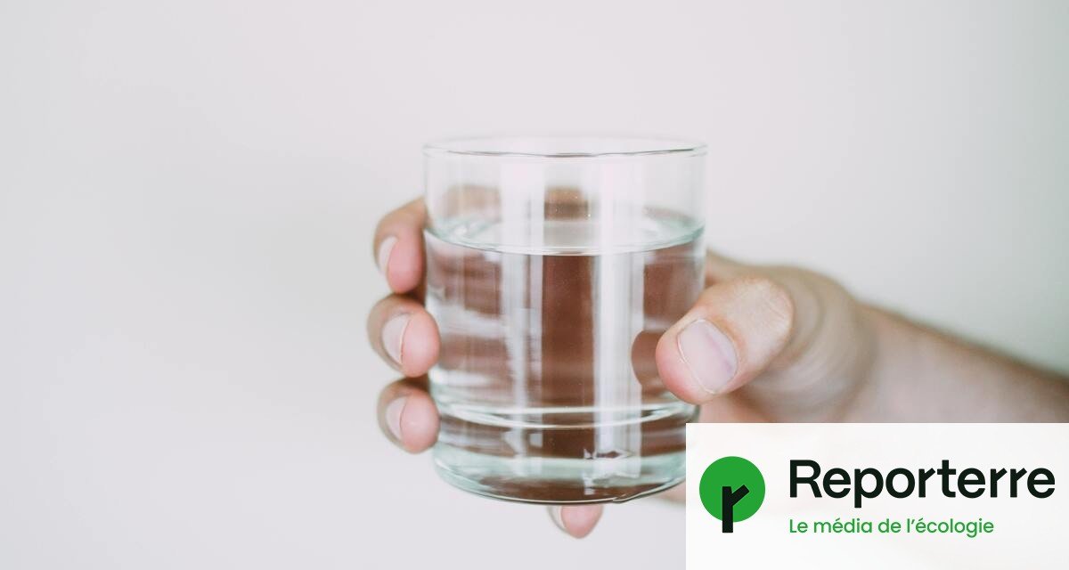 Pesticides, qualité de l&rsquo;eau… Découvrez l&rsquo;état de votre commune