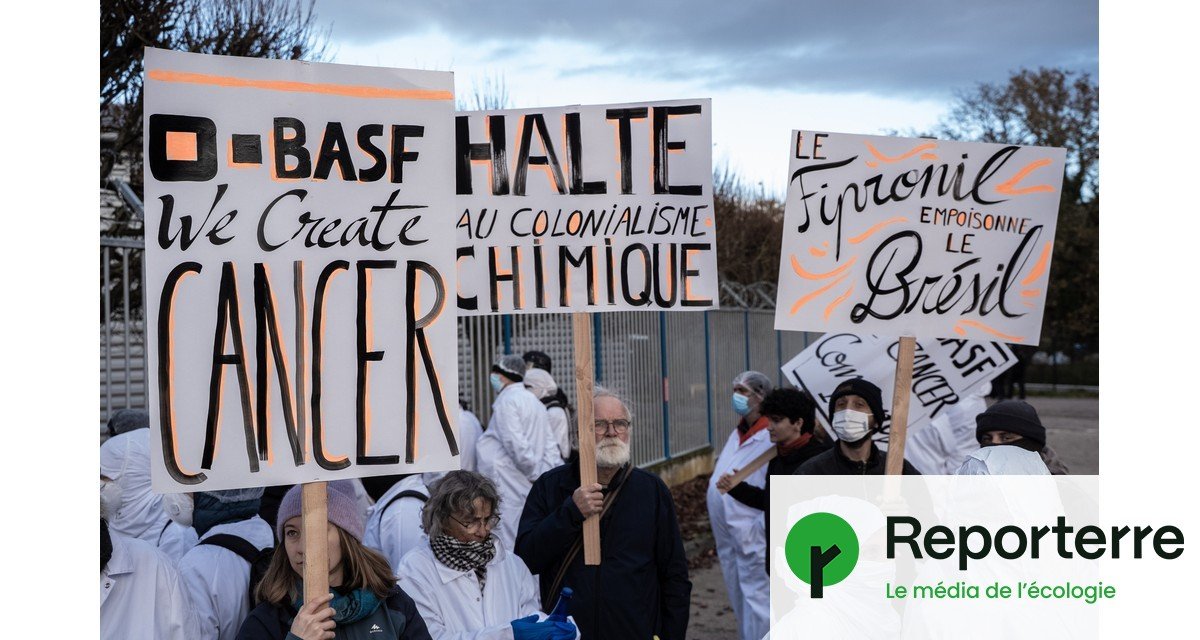 Des activistes bloquent une usine BASF… et découvrent une substance interdite en Europe