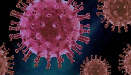 Newly discovered coronavirus could cause high fatality, scientists warn: Report