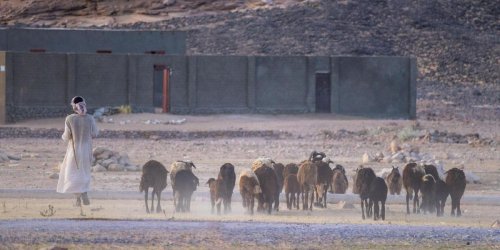 The humiliation of finding secret Israeli bases in Iraq