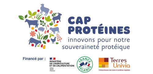 Filière protéine végétale | Cap Protéines lance un challenge pour les étudiants