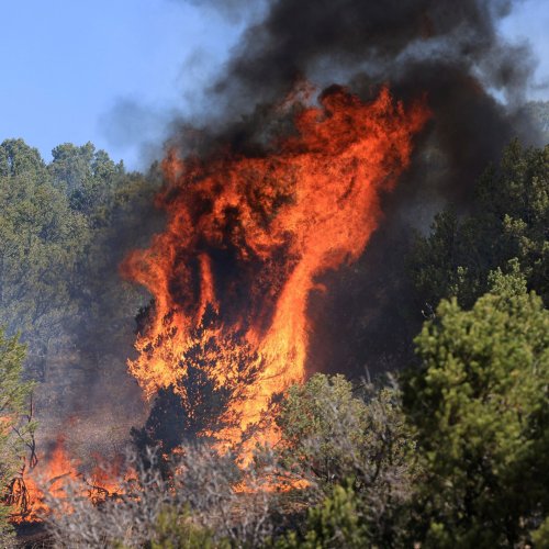 Forest Service says it started all of New Mexico's largest wildfire