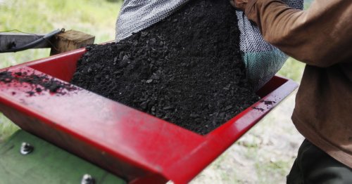 Biochar: the 'black gold' for soils that is getting big bets on offset markets