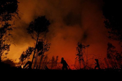 Indonesian province declares state of emergency over forest fires