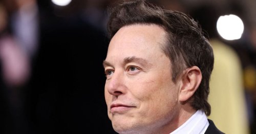 Musk’s Neuralink faces federal probe, employee backlash over animal tests