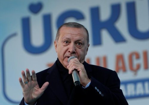The New Turkey Monitor cover image
