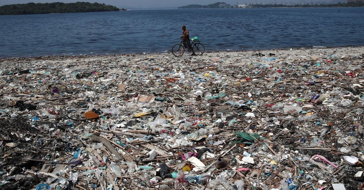 Brazilian biologists 'frightened' at amount of microplastics in Rio marine life