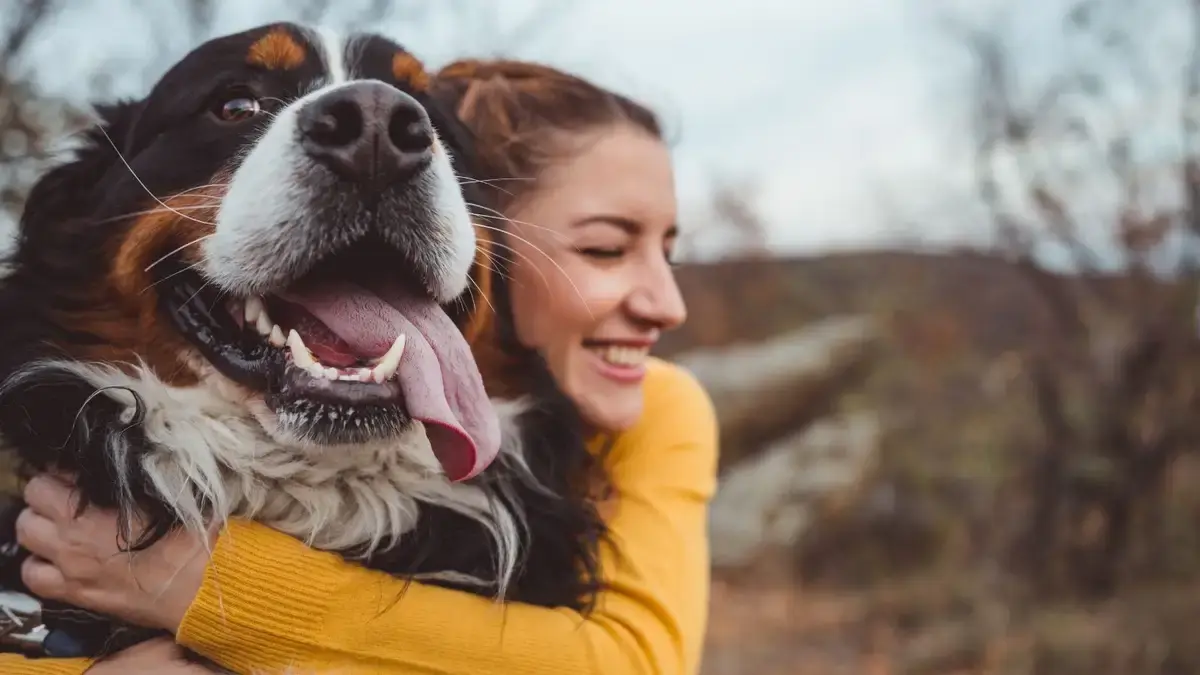 The Best Smart Pet Cameras of 2026