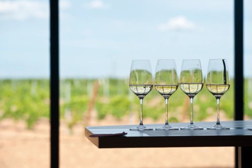 Los diecinueve mejores vinos de Rueda, según Ferran Centelles