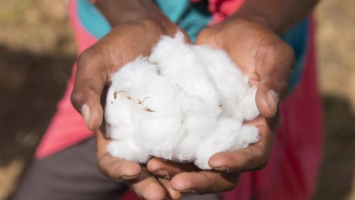 Chronique des matières premières - Où sont passés les acheteurs de coton ?