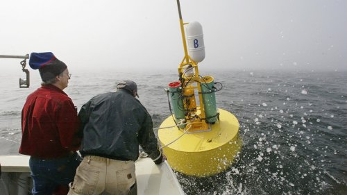Jusqu’où va la science ? - Mutualiser l'écoute de la biodiversité, une révolution dans le domaine de la bioacoustique