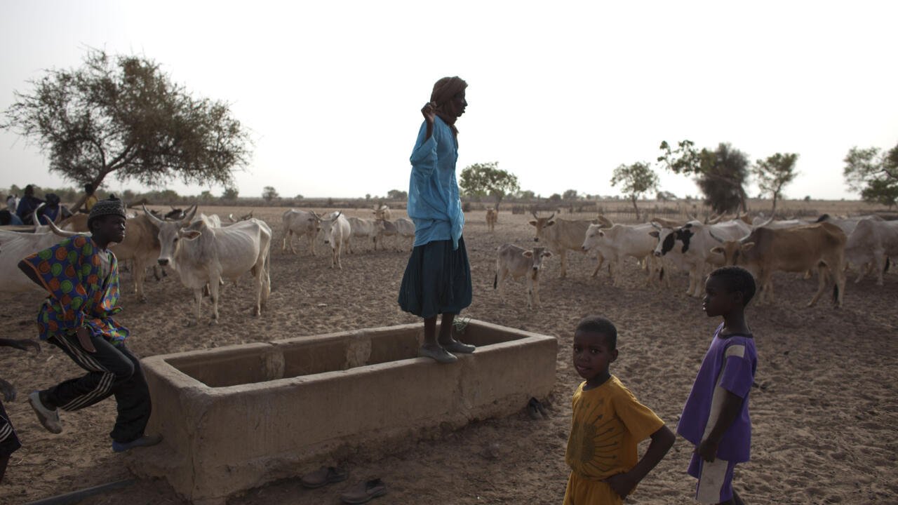 Sahel: la gestion de l’eau, source de conflits entre éleveurs et agriculteurs