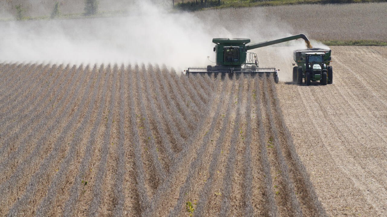 États-Unis: les producteurs de soja inquiets face aux tensions commerciales avec Pékin