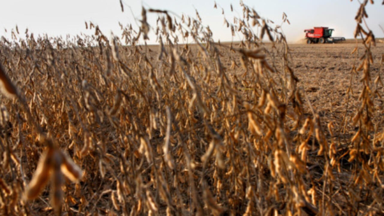 Guerre commerciale: les agriculteurs américains s’inquiètent des nouveaux droits de douane chinois