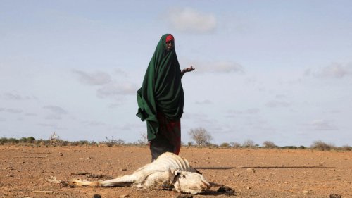 Reportage Afrique - Somalie: les populations entre sécheresse et jihadistes [1/3]